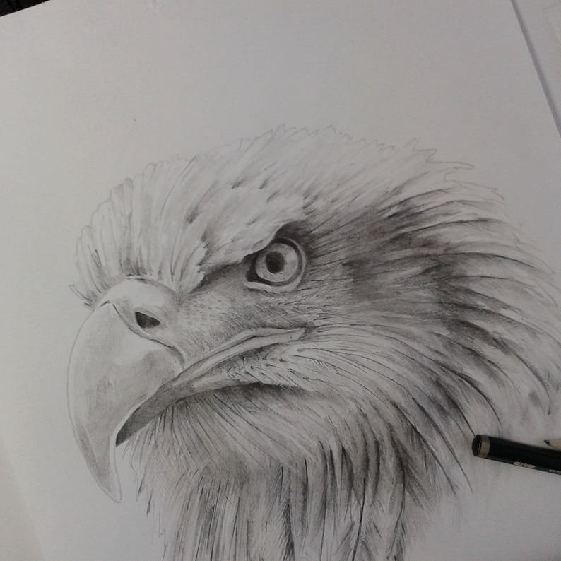 Eagle Art Print Native American Artwork Bald Eagle Wall ...