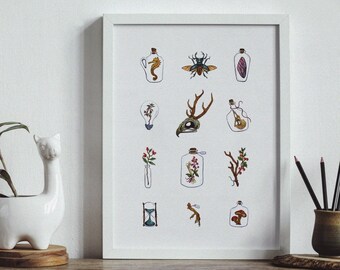 Cabinet of Curiosities Aquarelle Art Print - Wall Art - Cuisine/Décor maison - Idées cadeaux - Peinture - Illustration