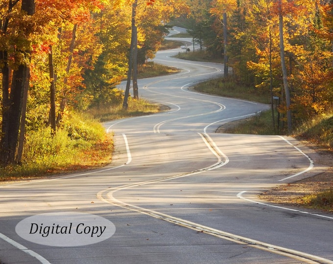 Winding Road photo, INSTANT DOWNLOAD print, Door County picture, digital copy art, printable wall decor, 5x7 8x10 10x10 11x14 12x12 12x18