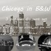 Mary Schmidt reviewed Chicago black and white art photography, 3 photo prints discount set, large paper or canvas picture, wall decor 8x10 11x14 12x12 16x20 30x45