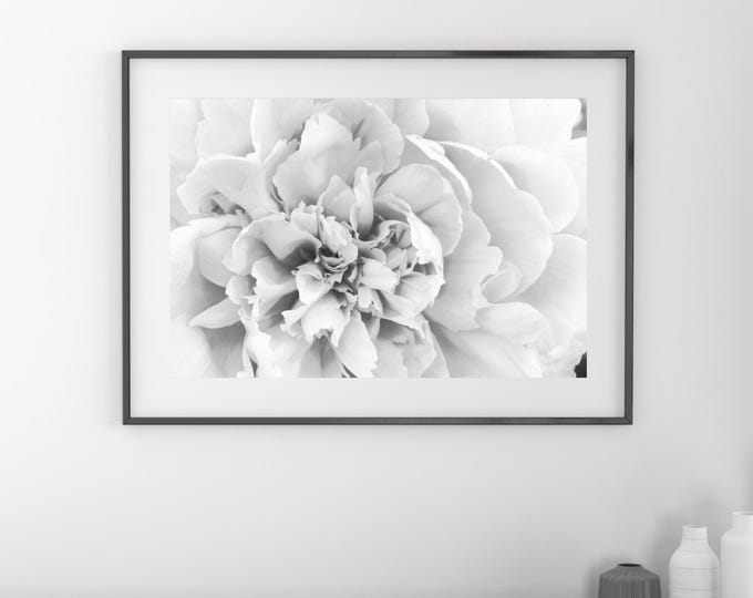 Peony in B&W, floral art photo print, black and white photography, flower wall decor, large paper or canvas picture, 5x7 8x10 to 32x48 inch