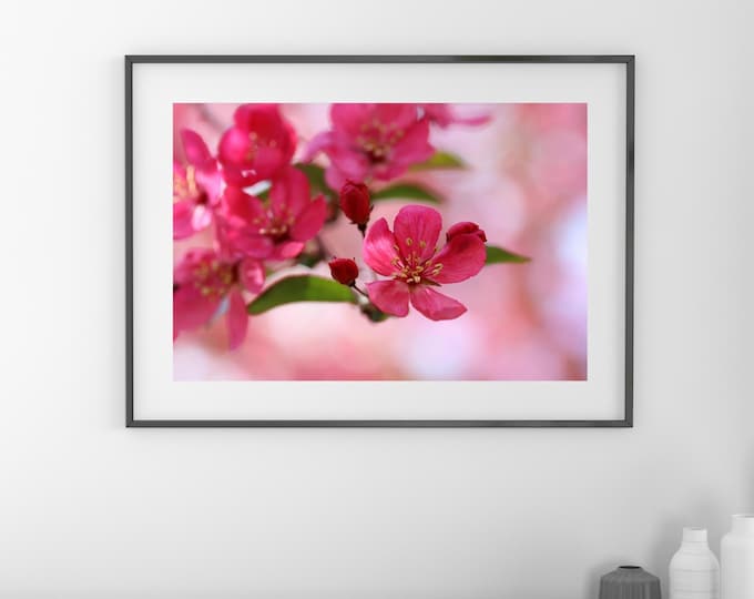 Pink Blossom, blooming crabapple photo print, blush art decor, floral photography wall art, paper, canvas, 5x7 to 32x48", Mother's Day gift
