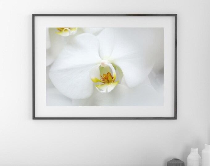 White Orchid print, white Phalaenopsis orchid picture, floral wall art, over bed wall art, above couch art, orchid canvas, 5x7 to 40x60"