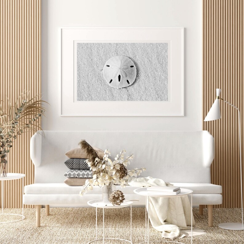 May include: A white couch with a white throw blanket and a white side table with a book on it. There is a vase with dried flowers on a white side table. A framed black and white photograph of a sand dollar on a sandy beach hangs on the wall above the couch.