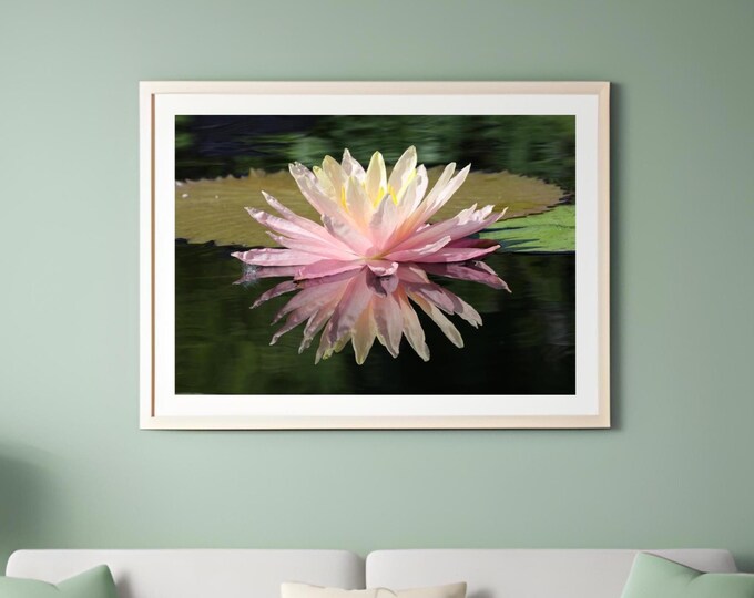 Water Lily print, flower reflection wall art, floral photography, over bed decor, above couch wall decor, large canvas art, 5x7 to 32x48"