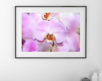 Lavender orchid print, Phalaenopsis orchid, lavender wall art, floral art, lavender photo, large canvas, above bed wall decor, 5x7 to 40x60"