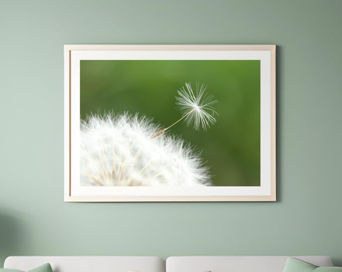 Dandelion Seeds photo print, color photography, flower art, large paper or canvas picture, floral wall decor, 5x7 8x10 to 32x48"