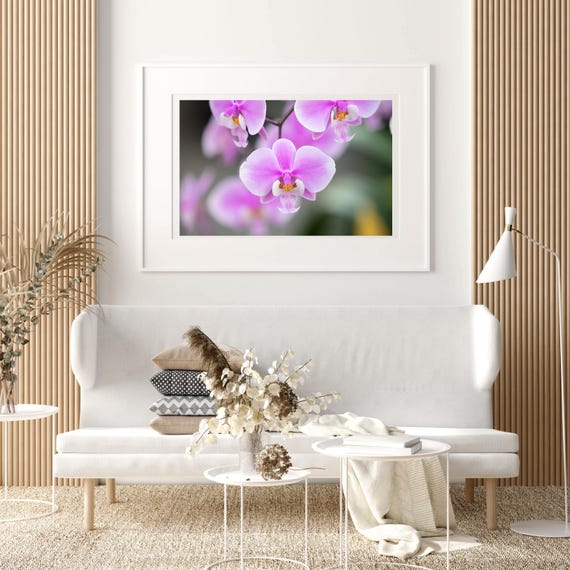 Orchid GALLERY MADE IN KOREA 絵画　アート　壁掛け Amazon.com: Orchidae Orchids Flowering Plants Nature Ernst Haeckel
