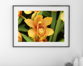 Cymbidium Orchid print, yellow orchid wall art, boat orchid picture, floral photography, large canvas decor, orchid lover gift, 5x7 to 40x60