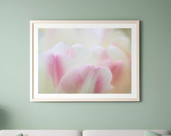 Floral wall art, tulip art print, pink and white tulip photo, blush wall art decor, flower photography, framed gift for her, 5x7 to 32x48"