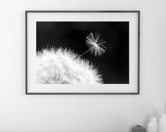 Dandelion Seed photo print, black and white photography, flower art, large paper or canvas picture, floral wall decor, 5x7 8x10 to 32x48"