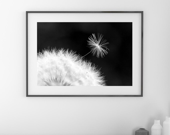 Dandelion Seed photo print, black and white photography, flower art, large paper or canvas picture, floral wall decor, 5x7 8x10 to 32x48"