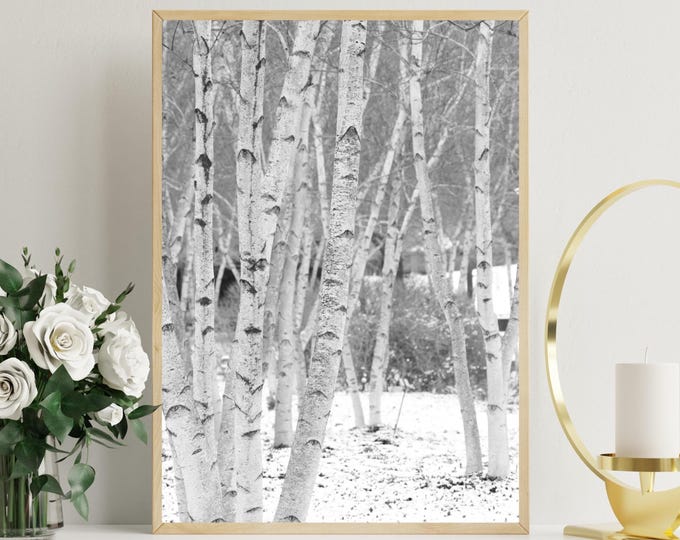 VERTICAL Birch Trees wall art, black and white birch tree print, winter art, birch tree woods photo, large canvas wall decor 5x7 to 32x48"