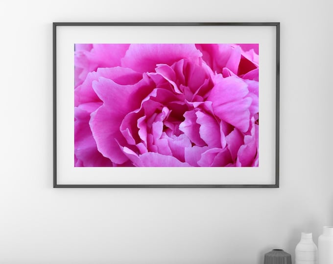 Peony wall art print, pink art, peony print, flower photography, floral decor, above couch wall art, framed print or canvas, 5x7 to 32x48"