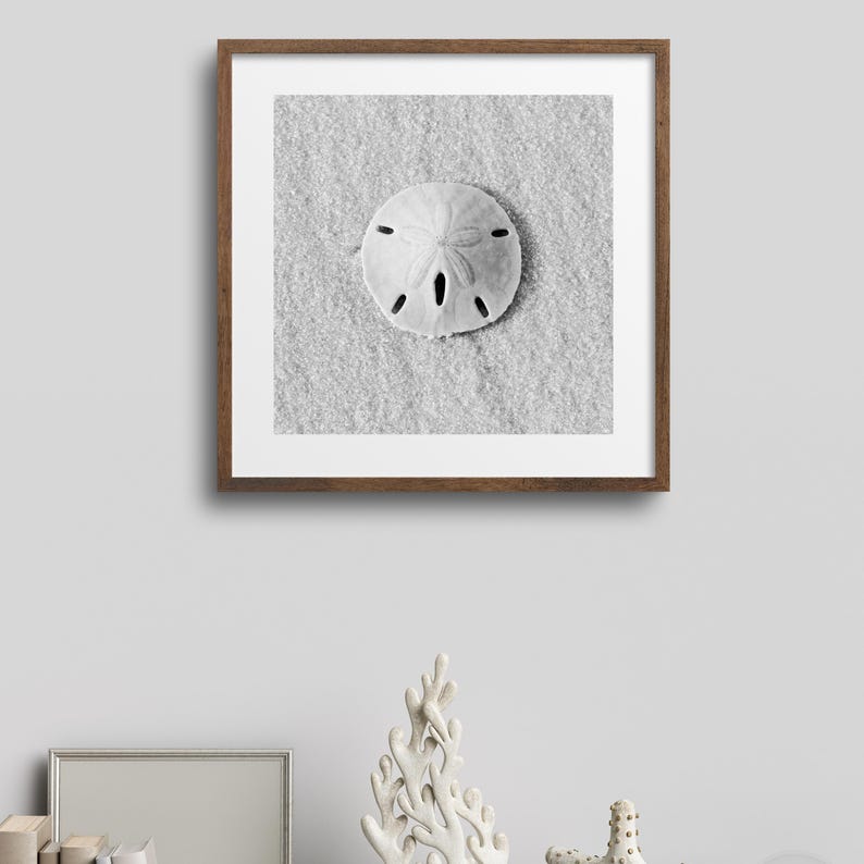 May include: A black and white photograph of a sand dollar on a sandy beach. The sand dollar is in the center of the image and is surrounded by sand.