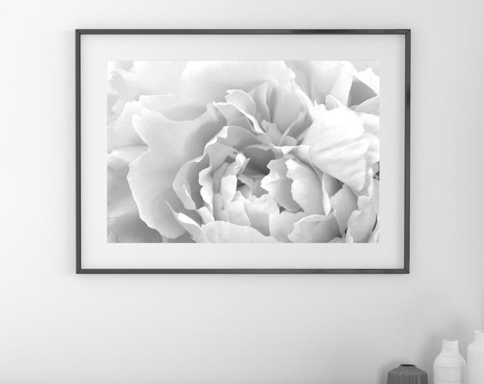 Peony art print, black and white peony print, flower photography, floral decor, large above couch wall art, framed, canvas, 5x7 to 32x48