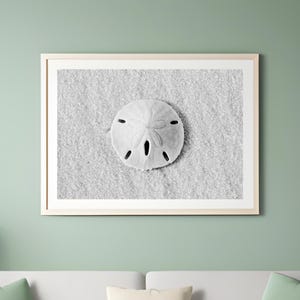 May include: A black and white photograph of a sand dollar on a sandy beach.