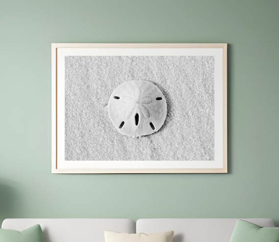 Sand dollar wall art, beach house decor, black and white beach photo, bathroom wall decor, shell art print canvas 5x7 8x10 11x14 16x16 24x36