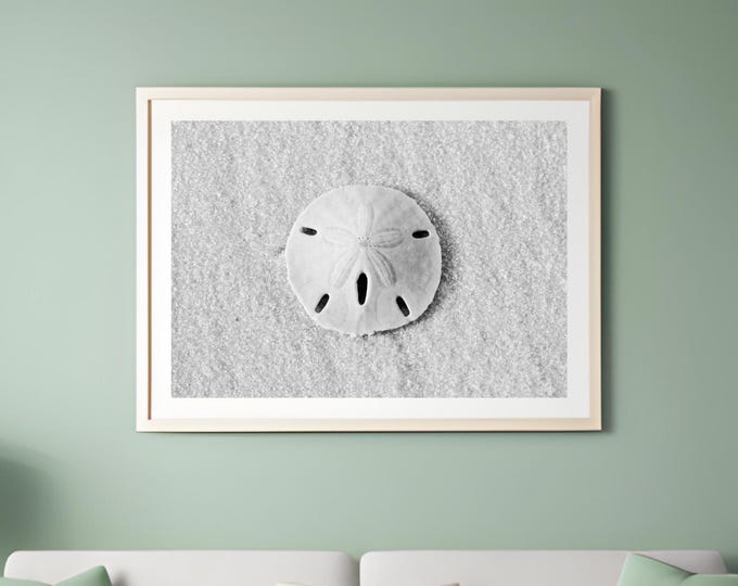 Sand dollar wall art, beach house decor, black and white beach photo, bathroom wall decor, shell art print canvas 5x7 8x10 11x14 16x16 24x36