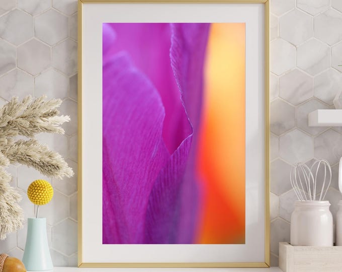 VERTICAL abstract Tulip print, purple and orange wall art, floral photo, flower photography, floral decor, large canvas, 5x7 to 32x48"