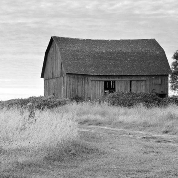 Old Barn photo print, black and white art photography, Michigan country picture, large paper canvas rustic wall decor 8x10 16x20 20x30 24x36