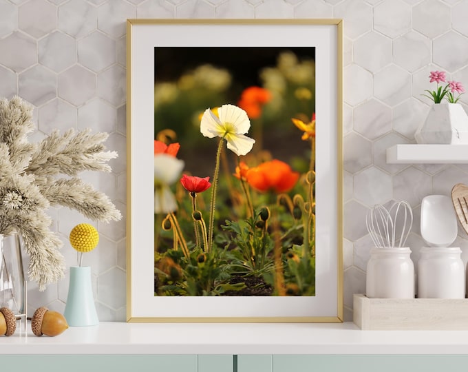 Poppies photo print, VERTICAL floral art, color photography, large paper or canvas picture, flowers wall decor, 5x7, 8x10 to 32x48, 40x60"