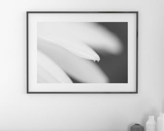 Dreamy Flower, floral wall decor, whimsical art print, black and white photo, B&W photography, paper or canvas picture, 5x7 to 32x48"