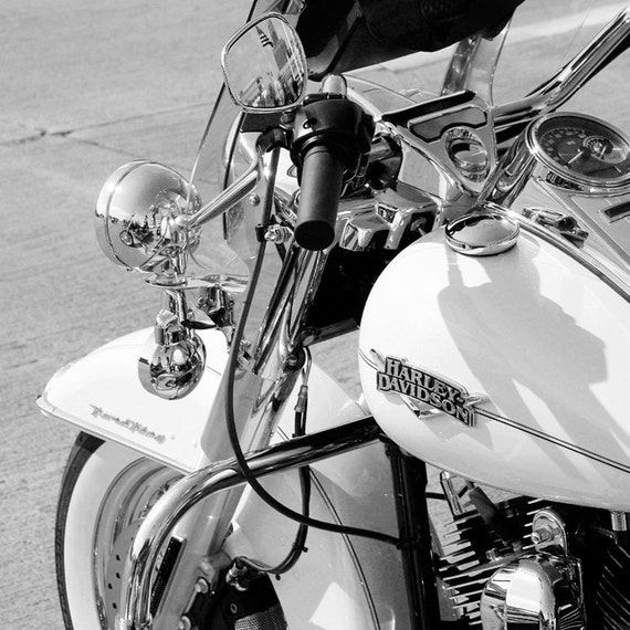 Images of 2024 harley davidson bike