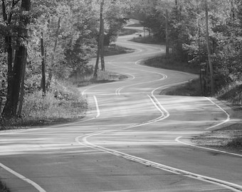 Winding Road photo print, Door County photography, road through woods, landscape photography, large canvas wall art 5x7 8x10 11x14 to 24x36"