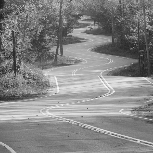 Winding Road photo print, Door County photography, road through woods, landscape photography, large canvas wall art 5x7 8x10 11x14 to 24x36"