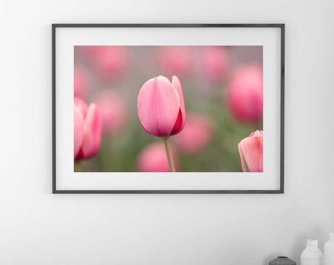 Pink Tulips photo print, blush pink wall art, floral decor, spring flower photography, paper/ canvas picture, photo gift 5x7 to 32x48"