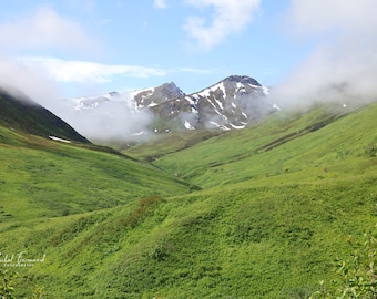 Alaska photo print, Hatcher Pass, alpine tundra, green mountains photography, Alaska wall art decor, paper or canvas picture, 5x7 to 40x60"