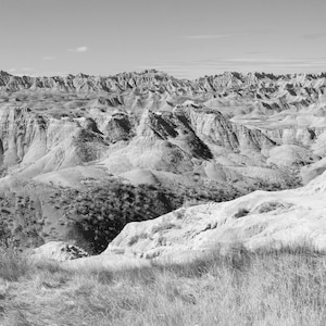 May include: A black and white photograph of a vast, rugged landscape with rolling hills and valleys. The landscape is covered in dry, brown grass and appears to be a desert or semi-desert environment.