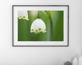 Summer Snowflake photo print, Snowdrop art, above bed wall art, over the couch decor, large floral picture, flower canvas art, 5x7 to 40x60"