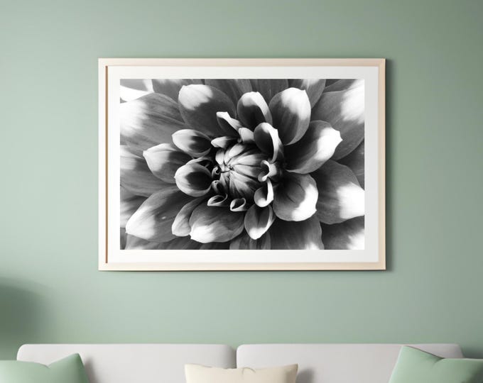 Dahlia wall art, black and white flower print, Dahlia photo, floral art, flower decor, photography, large canvas picture, 5x7 8x10 to 32x48"