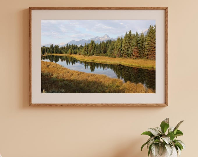 Grand Teton photo print, Wyoming photography, large National Park wall art, tree reflections picture, paper, canvas, 5x7 to 32x48 inches