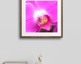 Orchid GALLERY MADE IN KOREA 絵画　アート　壁掛け Orchid GALLERY MADE IN KOREA 絵画 アート 壁掛け Orchid Painting