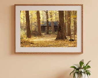 Cabin in the Woods photo print, fall trees wall art, forest landscape, large picture, paper, canvas, yellow golden decor 5x7 to 40x60 inches
