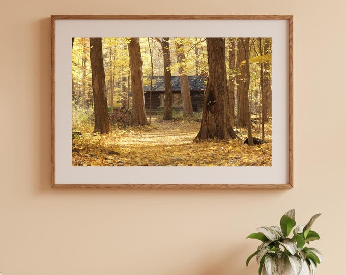 Cabin in the Woods photo print, fall trees wall art, forest landscape, large picture, paper, canvas, yellow golden decor 5x7 to 40x60 inches