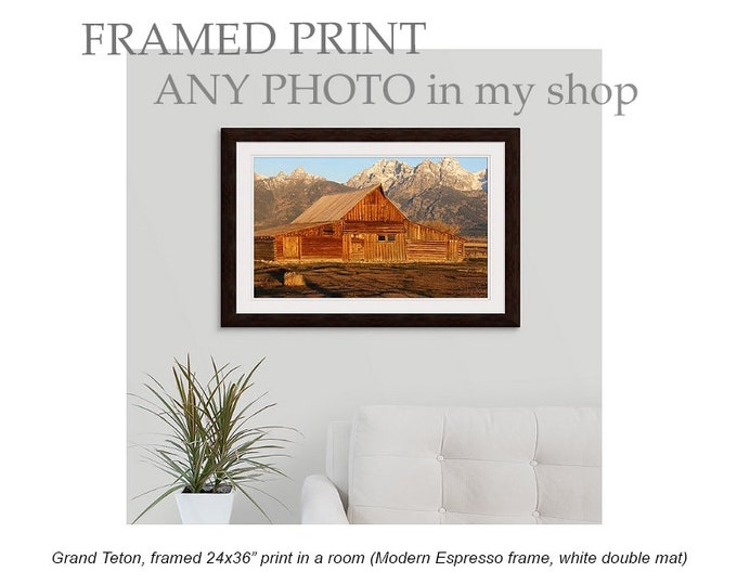 Framed photo, ANY PRINT in my shop, art ready to hang, double mat picture, wedding or birthday gift, wall decor, 9 sizes up to 24x36 inches