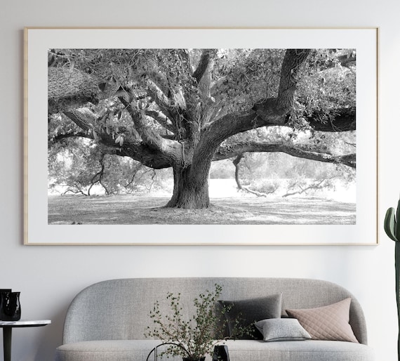 Allposters モノクロ 写真 額付き 73cm×73cm インテリア Amazon.com: SunFlax Natural Landscape Framed Wall Art - Mysterious