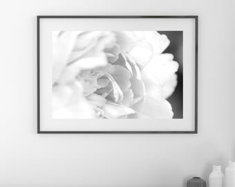 Peony art print, black and white peony print, flower photography, floral decor, large above couch wall art, framed, canvas, 5x7 to 32x48