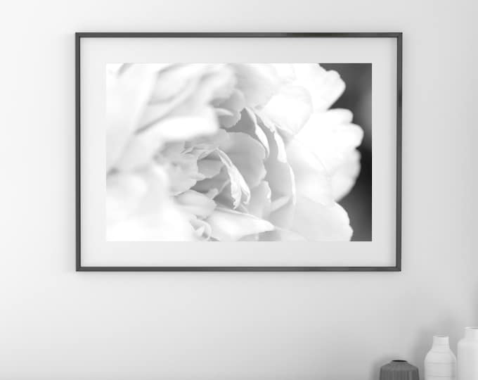 Peony art print, black and white peony print, flower photography, floral decor, large above couch wall art, framed, canvas, 5x7 to 32x48