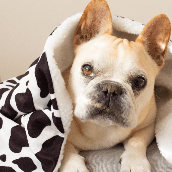 Coperta per cani con stampa di mucca, coperta in pile lavabile per