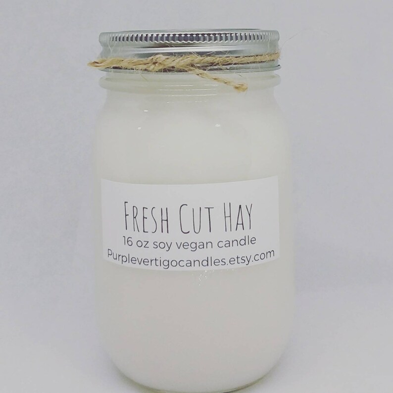 Fresh Cut Hay soy candle Hay candle hayride candle horses Etsy