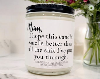 Funny Mother's day gift, mom candle, smells better than shit I put you through, funny gift for mom, Mother's day candle, mom gift