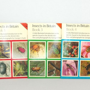 Könnte beinhalten: Drei farbige Bücher mit dem Titel "Insects in Britain" mit verschiedenen Insektenillustrationen auf den Umschlägen. Buch 1 zeigt eine gelbschwarze Wespe, einen roten Käfer, einen schwarzen Käfer und eine grüne Heuschrecke. Buch 3 zeigt eine Spinne, einen braunen und orangen Käfer, eine Raupe und eine grüne Heuschrecke. Buch 4 zeigt eine rote Beere, eine Wespe auf einer rosa Blume, eine gelbschwarze Fliege und einen schwarzen Käfer.