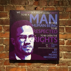 Malcolm X image 5