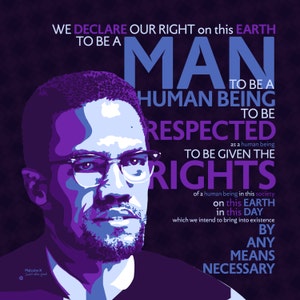 Malcolm X image 1
