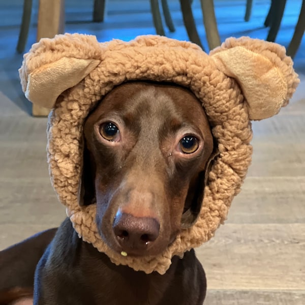 Bear Hat